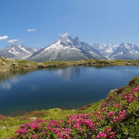 Luxury In Rhone Alps Near Ski Area Apartment Chamonix